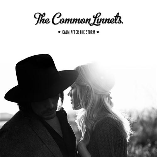 The Common Linnets Calm After The Storm profile picture