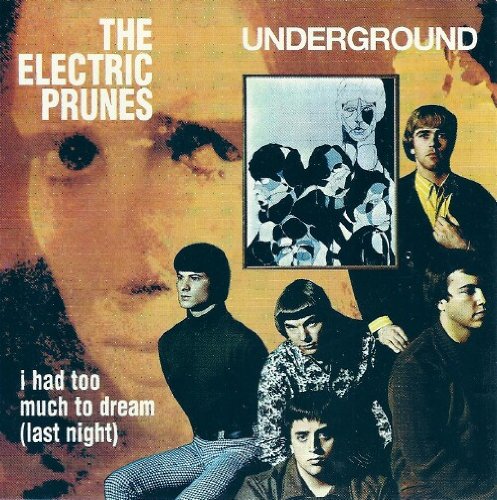 The Electric Prunes I Had Too Much To Dream (Last Night) profile picture