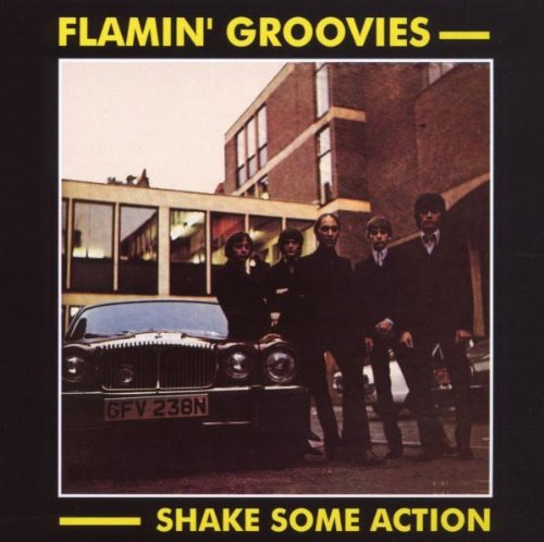 The Flamin' Groovies Shake Some Action profile picture