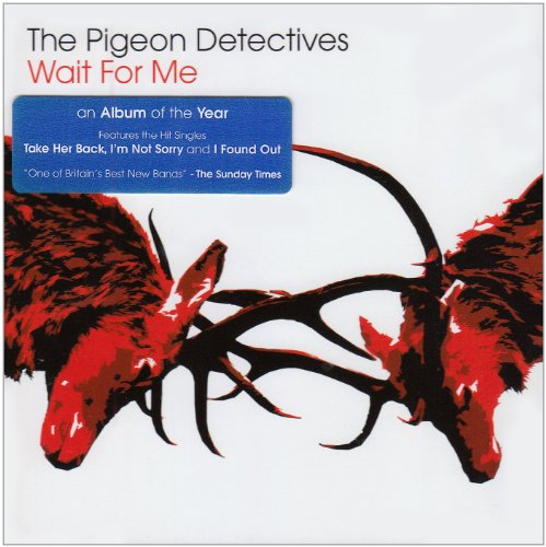 The Pigeon Detectives Don't Know How To Say Goodbye profile picture