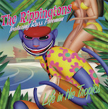 Download or print The Rippingtons Avenida Del Mar Sheet Music Printable PDF 6-page score for Jazz / arranged Solo Guitar SKU: 1227210
