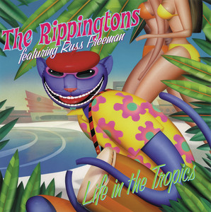 The Rippingtons Club Paradiso profile picture