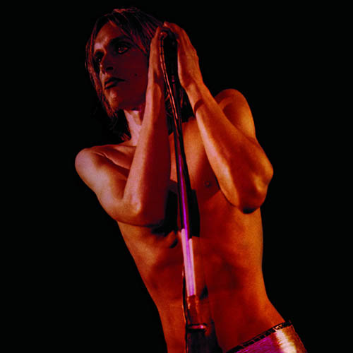 The Stooges Search And Destroy profile picture