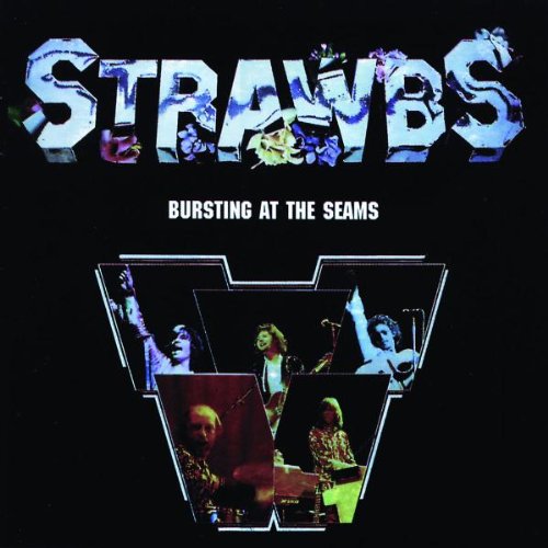 The Strawbs Part Of The Union profile picture
