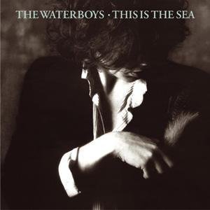 The Waterboys The Whole Of The Moon profile picture