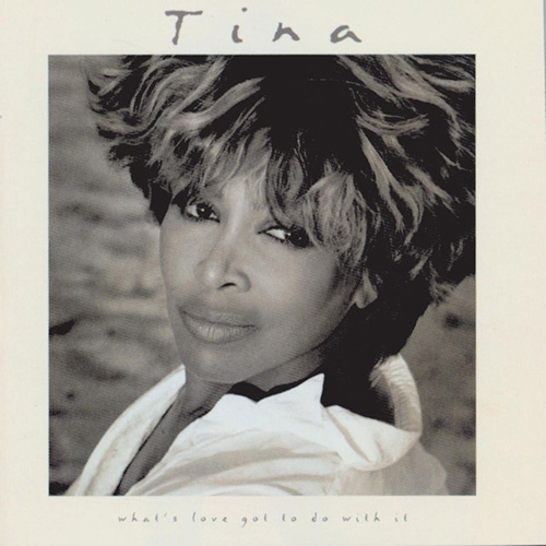 Tina Turner I Don't Wanna Fight profile picture