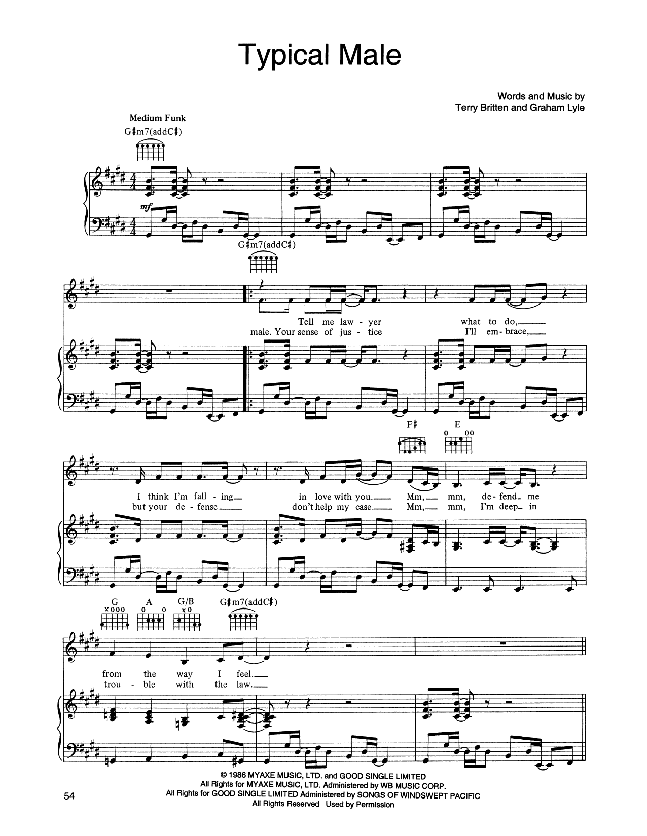Tina Turner Typical Male sheet music, chords, lyrics - Printable PDF for Piano, Vocal & Guitar (Right-Hand Melody)