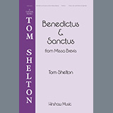 Download or print Tom Shelton Benedictus & Sanctus (from Missa Brevis) Sheet Music Printable PDF 15-page score for Concert / arranged SSAA Choir SKU: 1345480