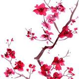 Download or print Trad. Japanese Folk Song Sakura (Cherry Blossoms) Sheet Music Printable PDF 1-page score for Folk / arranged Melody Line, Lyrics & Chords SKU: 187449