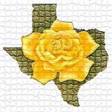 Download or print Traditional The Yellow Rose Of Texas Sheet Music Printable PDF 2-page score for Folk / arranged Banjo Lyrics & Chords SKU: 122929