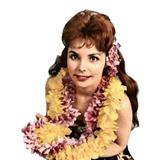 Download or print Traditional Hawaiian Folk Song Maori Farewell Song Sheet Music Printable PDF 2-page score for Jazz / arranged Easy Piano SKU: 27196