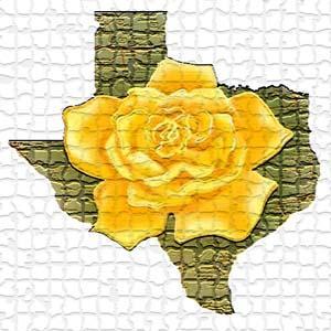 Traditional The Yellow Rose Of Texas profile picture