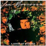 Download or print Van Morrison A Sense Of Wonder Sheet Music Printable PDF 5-page score for Rock / arranged Piano, Vocal & Guitar SKU: 110931