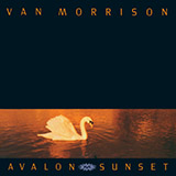 Download or print Van Morrison Have I Told You Lately Sheet Music Printable PDF 2-page score for Rock / arranged Flute SKU: 44498