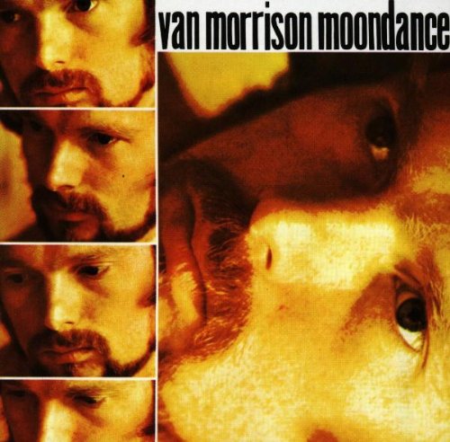 Van Morrison Moondance profile picture