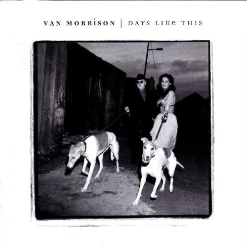 Van Morrison Songwriter profile picture