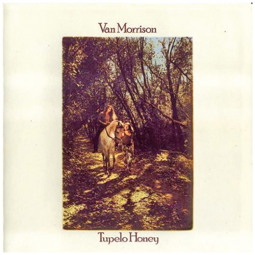 Van Morrison Wild Night profile picture