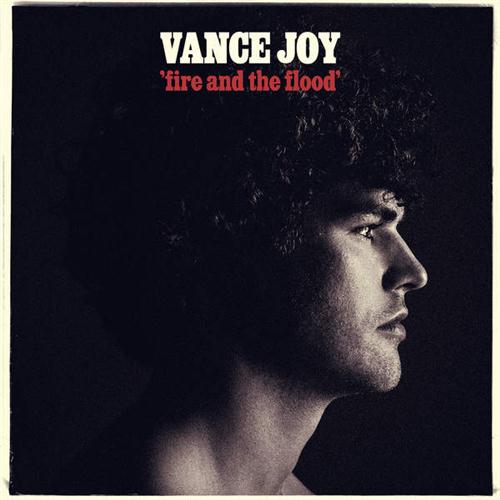 Vance Joy Fire And The Flood profile picture