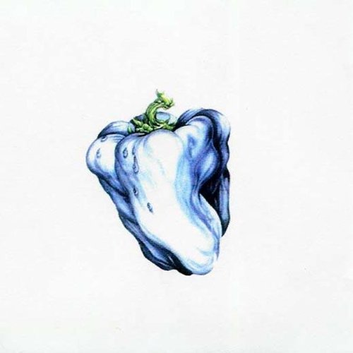 Ween Stay Forever profile picture