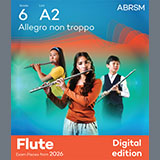 Download or print William Popp Allegro non troppo (Grade 6, list A2, from the ABRSM Flute Syllabus from 2026) Sheet Music Printable PDF 8-page score for Classical / arranged Flute Solo SKU: 1765764